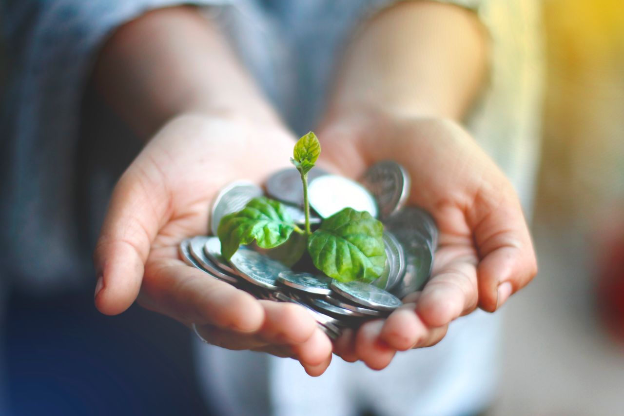 Home Hands cupping coins with a green plant sprouting, symbolizing financial growth.
